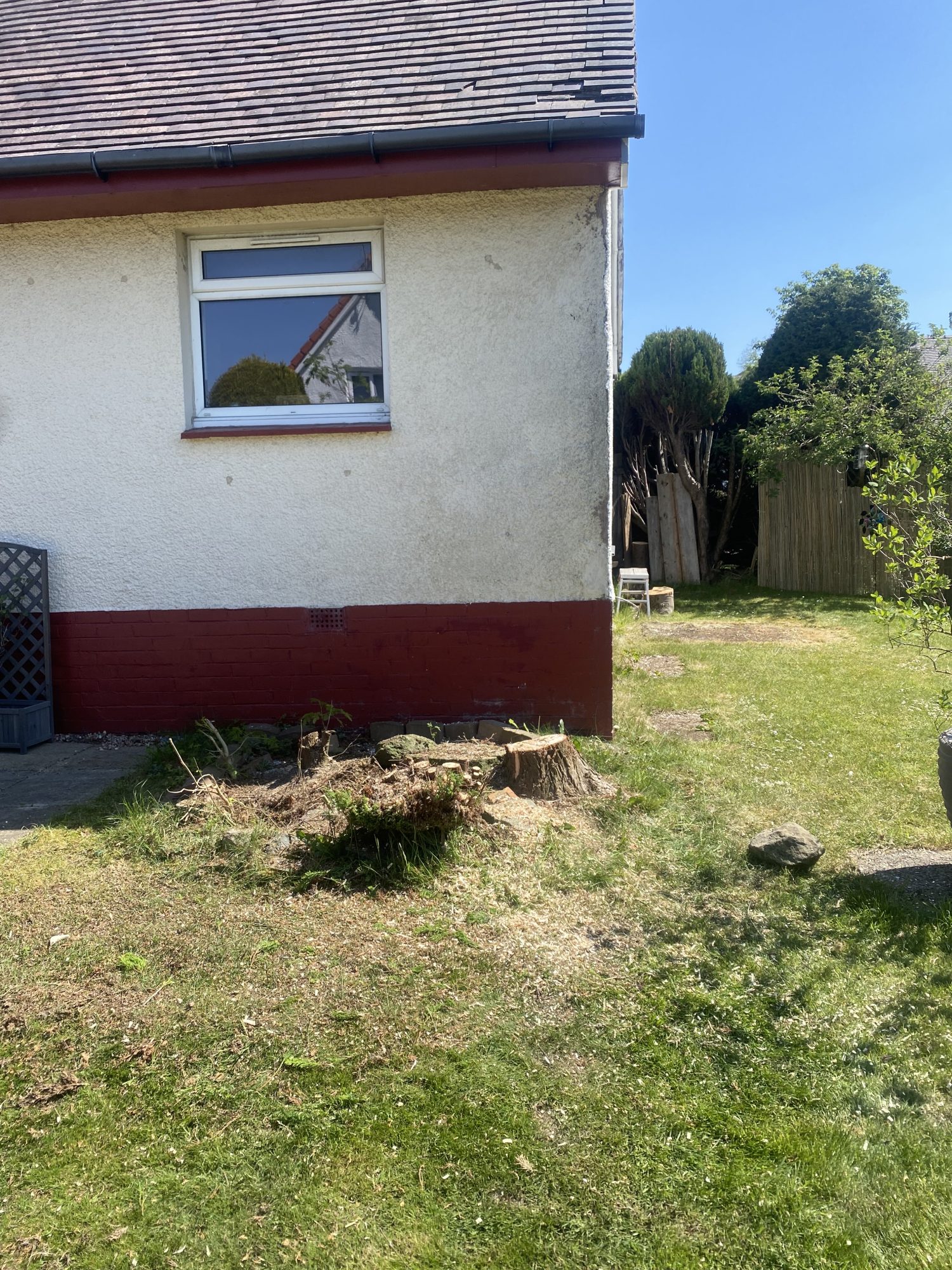tree surgeon services