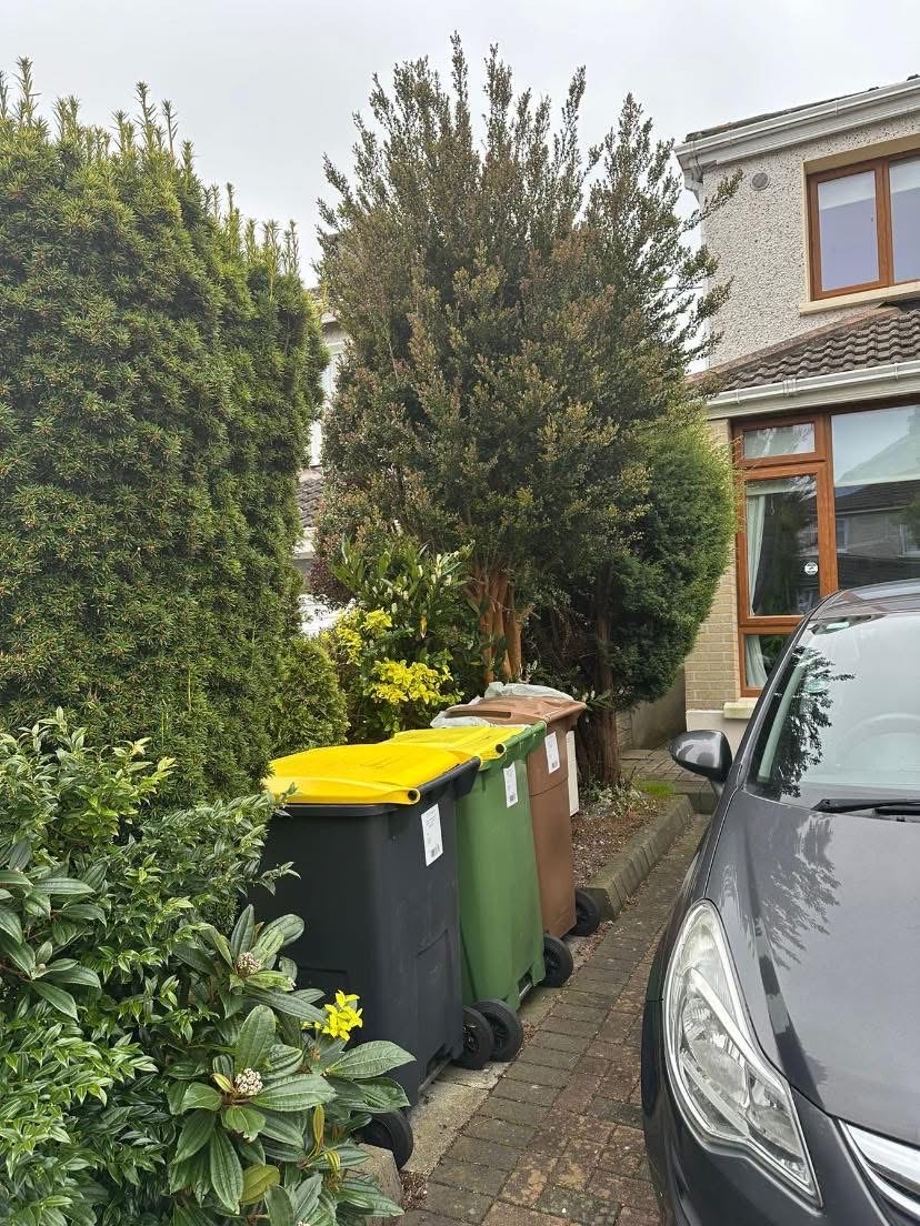 tree surgeon services -