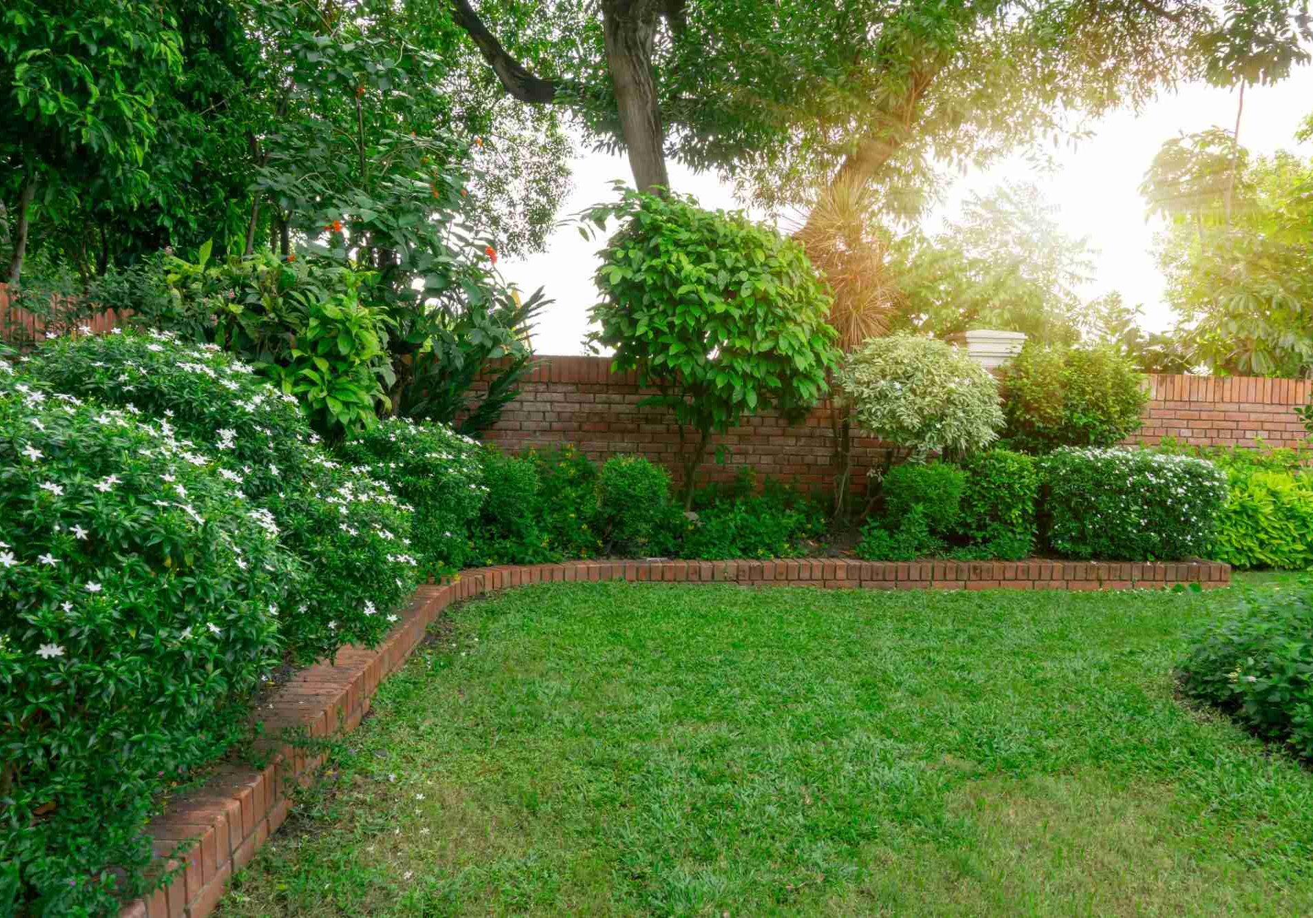 dreamstime_m_157370244-min garden services