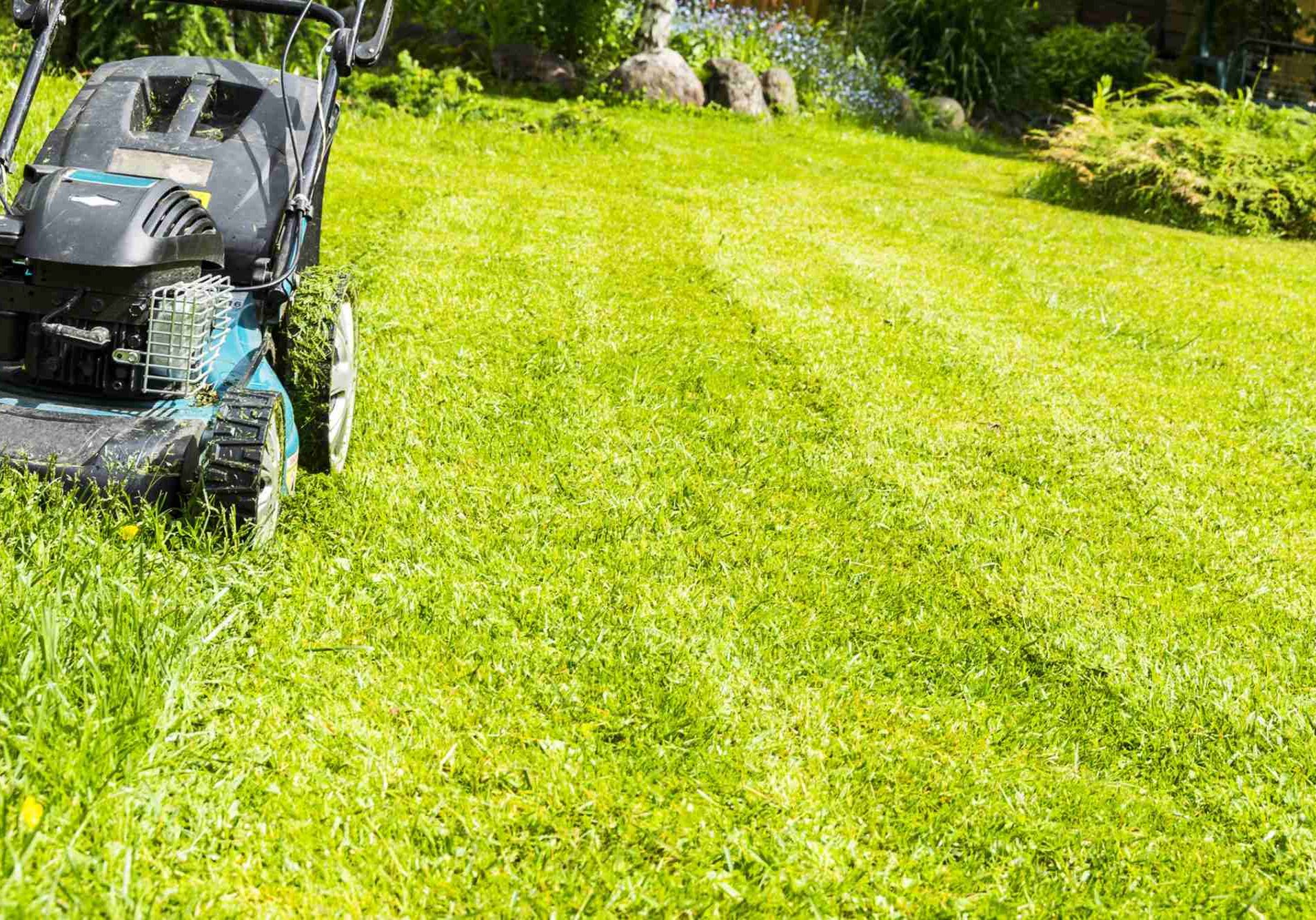 grass-cutting-min grass cutting