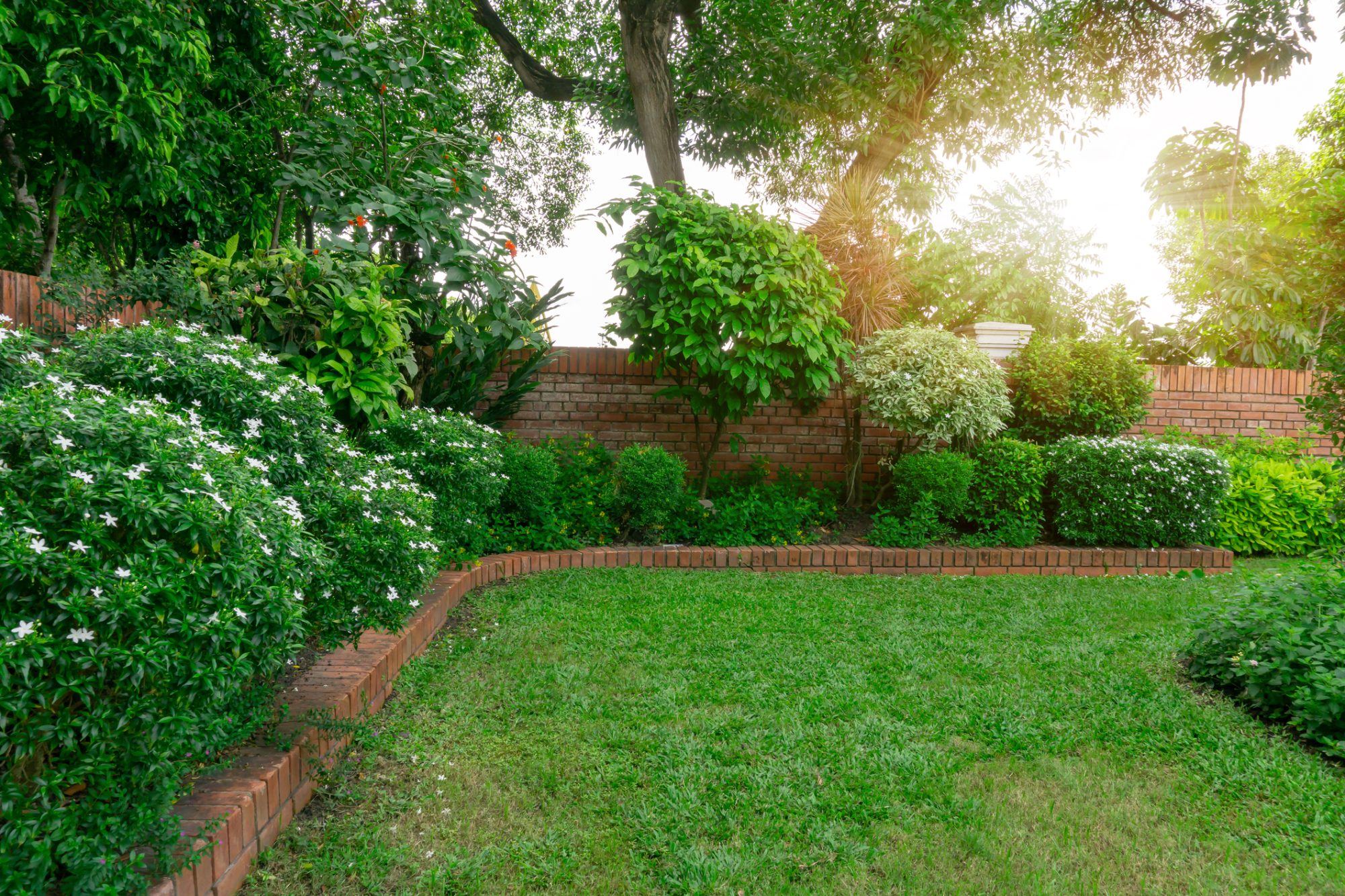 dreamstime_m_157370244 Gardening Services