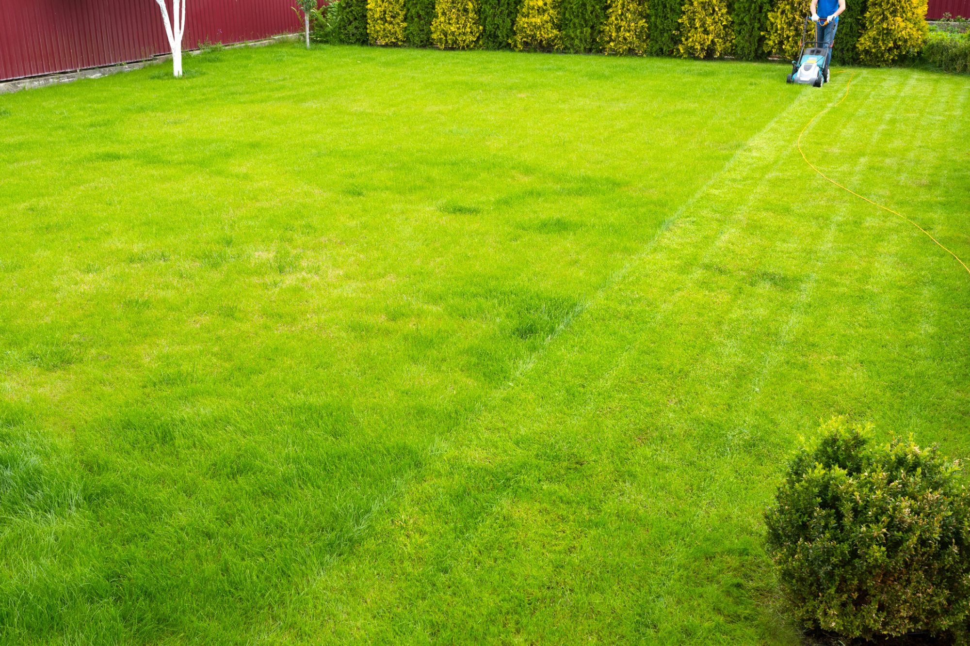dreamstime_m_169327253 Gardening Services