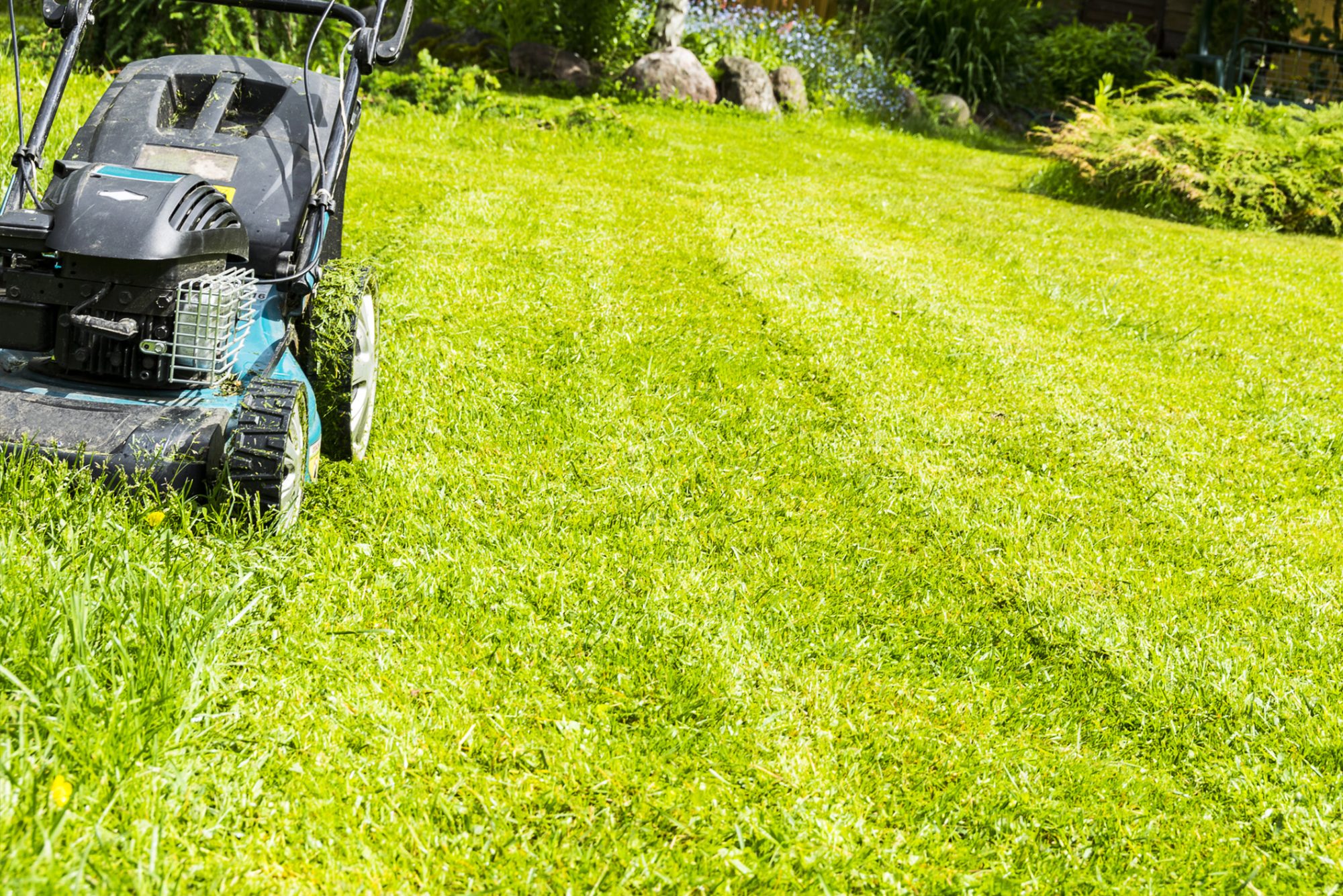 Gardening Services