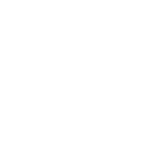 pressure washer